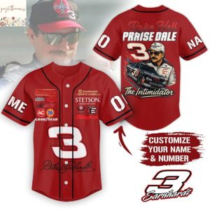 Personalized Dale Earnhardt Raise Hell Praise Dale The Intimidator Baseball Jersey