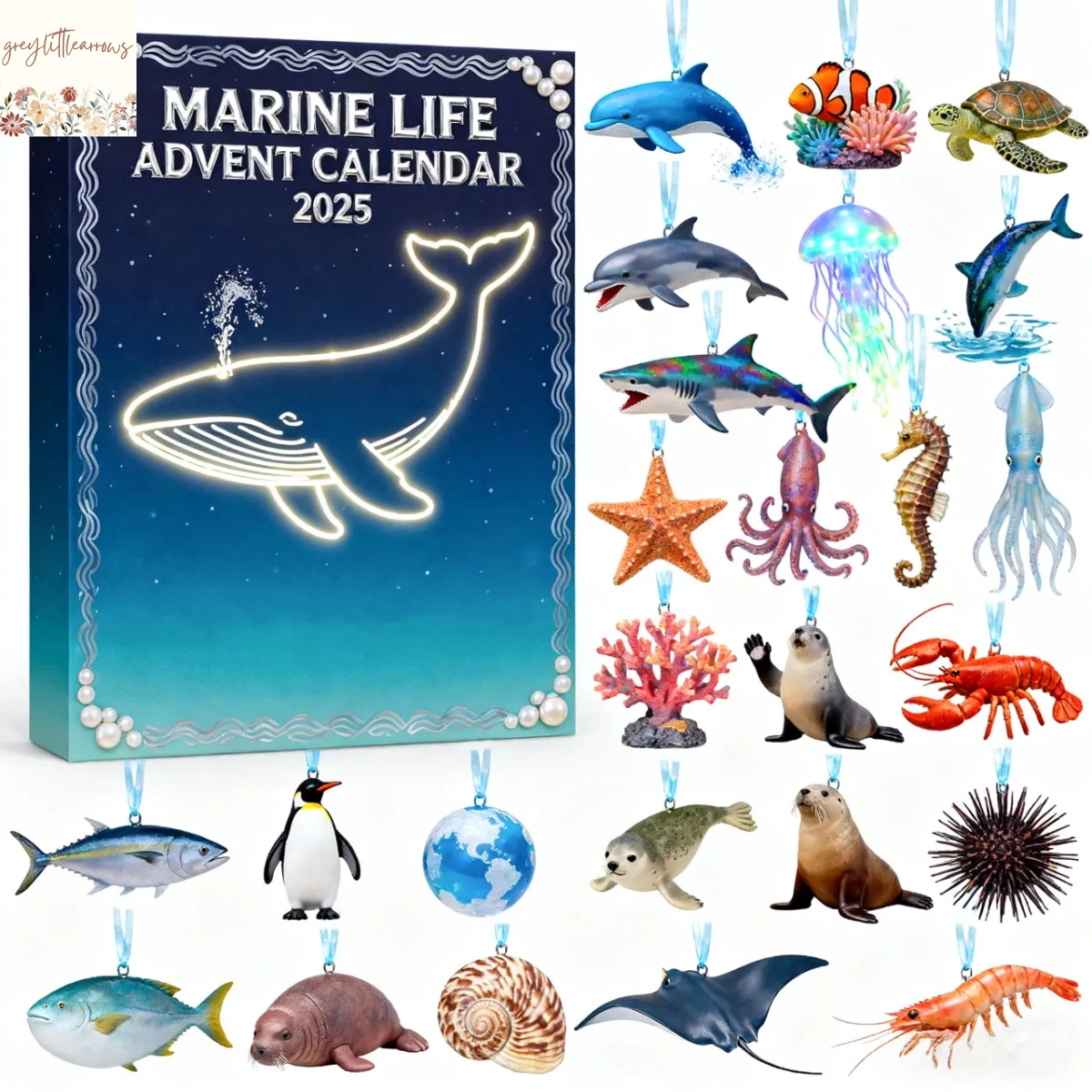 2025 Marine Live Advent Calendar 2025 Marine Live Advent Calendar